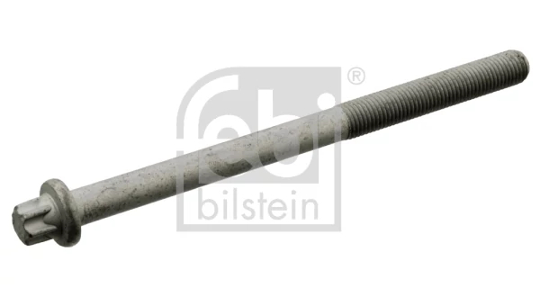 Гвинт голівки циліндра, Febi Bilstein 10794